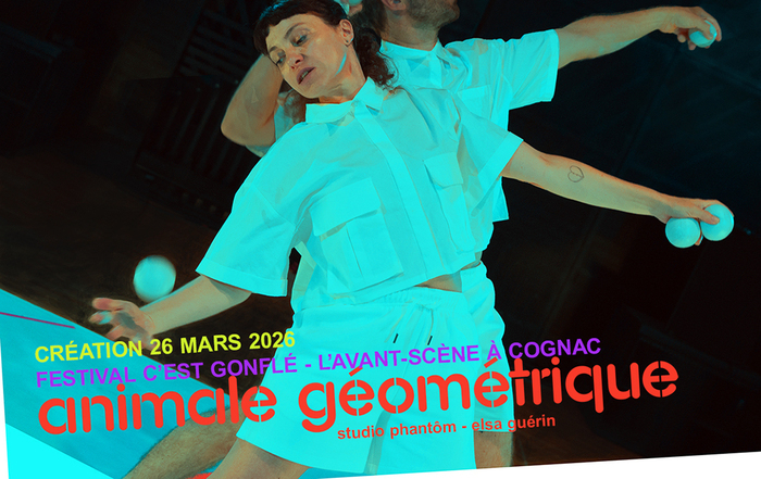 Animale géométrique Les 3T - Nouveau Théâtre Châtellerault