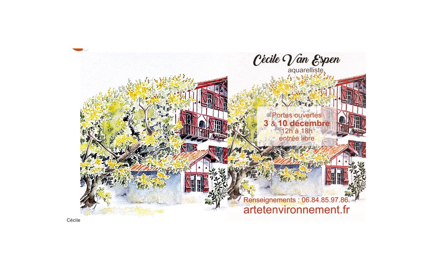 Aquarelles du Pays Basque