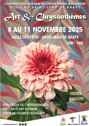 Art et Chrysanthèmes