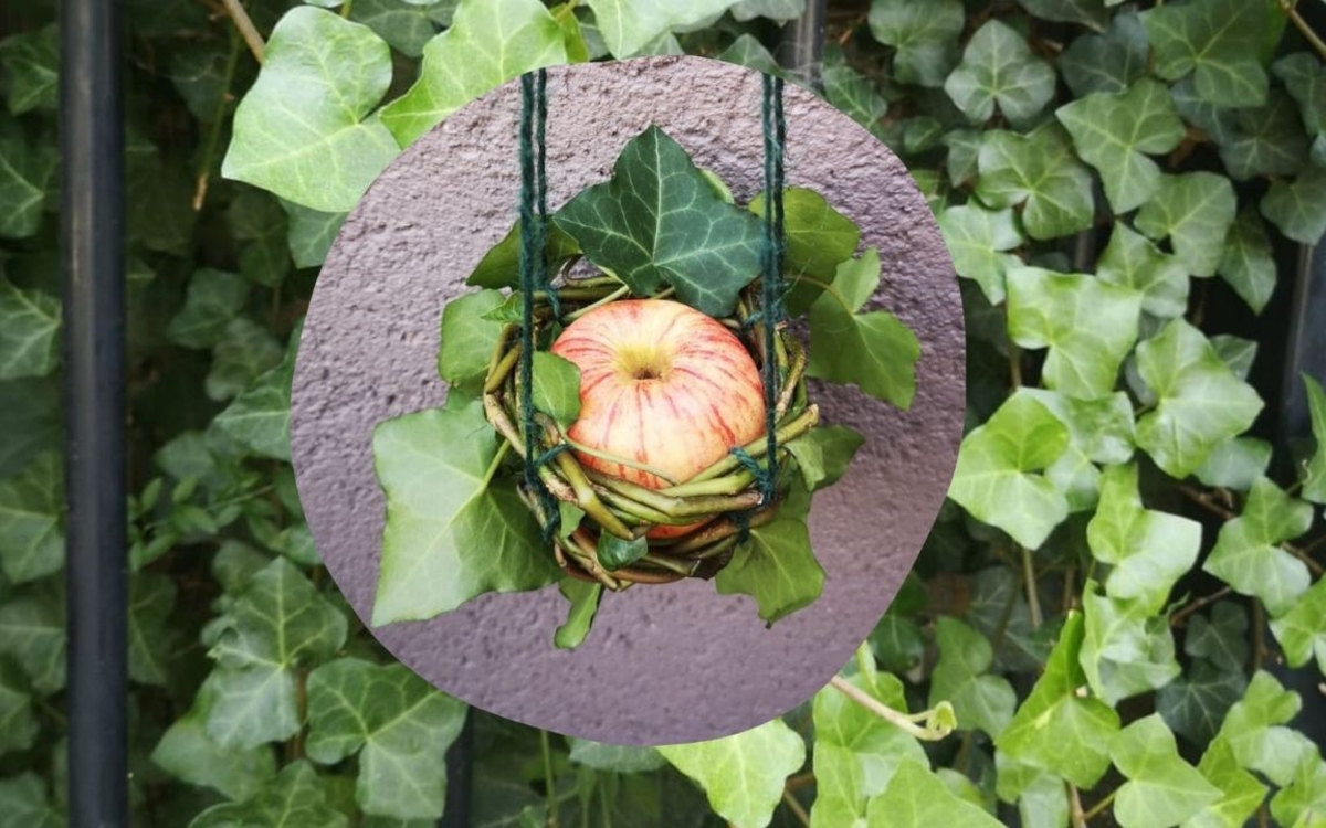 Atelier Mangeoires pour les oiseaux Ressourcerie Le Plant B Paris