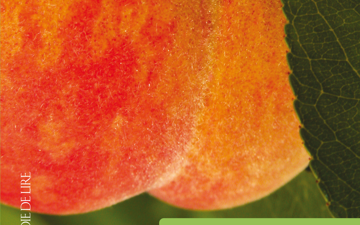 Atelier photo "Nature au Jardin" avec Nicolette Humbert Bibliothèque Buffon Paris