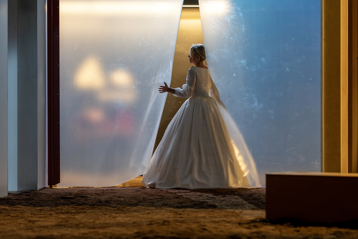 Bovary Madame Théatre de l'Agora