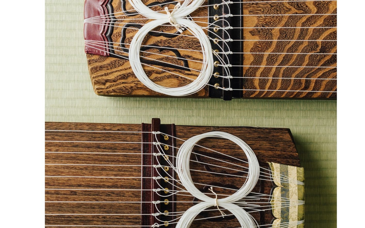 Ca'fête Musicale : les instruments à cordes Bibliothèque François Villon Paris