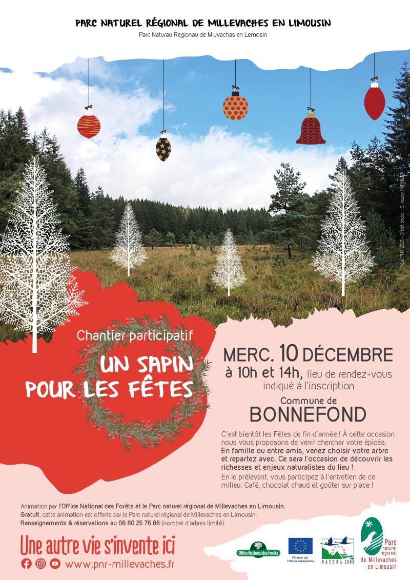 Chantier participatif un sapin pour les fêtes