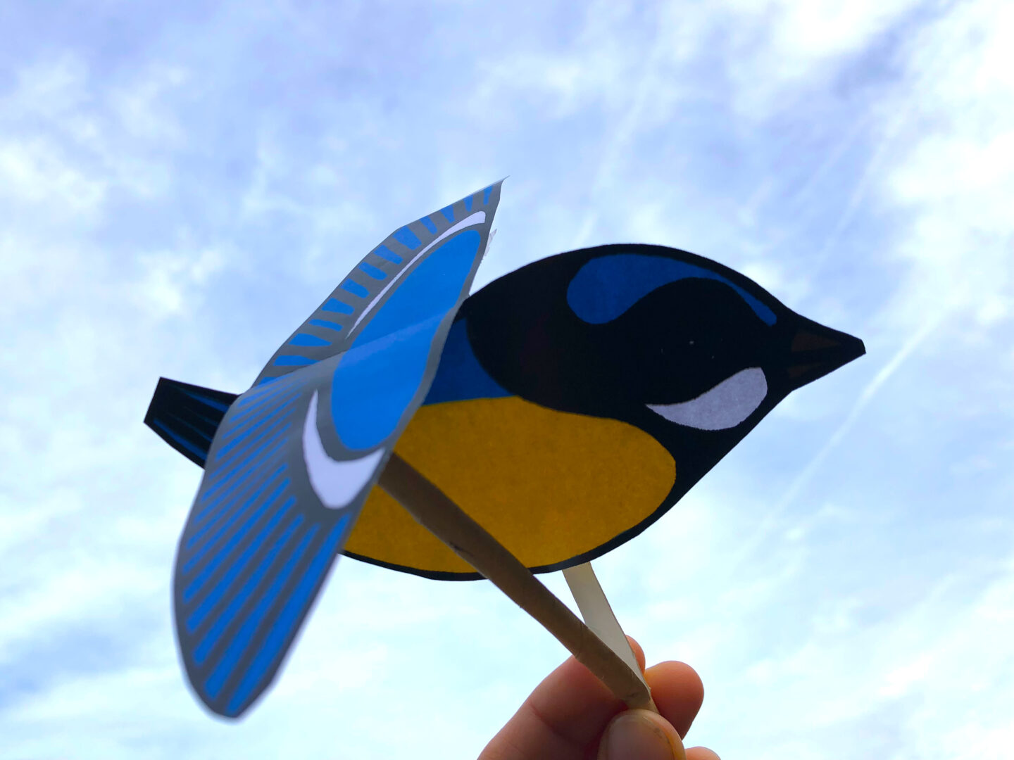 Ciné-atelier Ma marionnette mésange