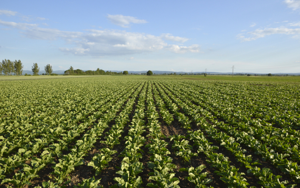 Colloque : « Le Socioscope
