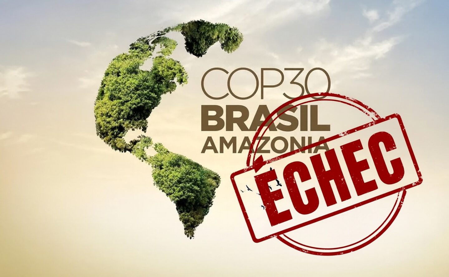 cop 30 bresil echec