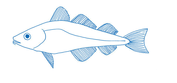 De la morue - cartographie 6 Théâtre-Sénart Lieusaint