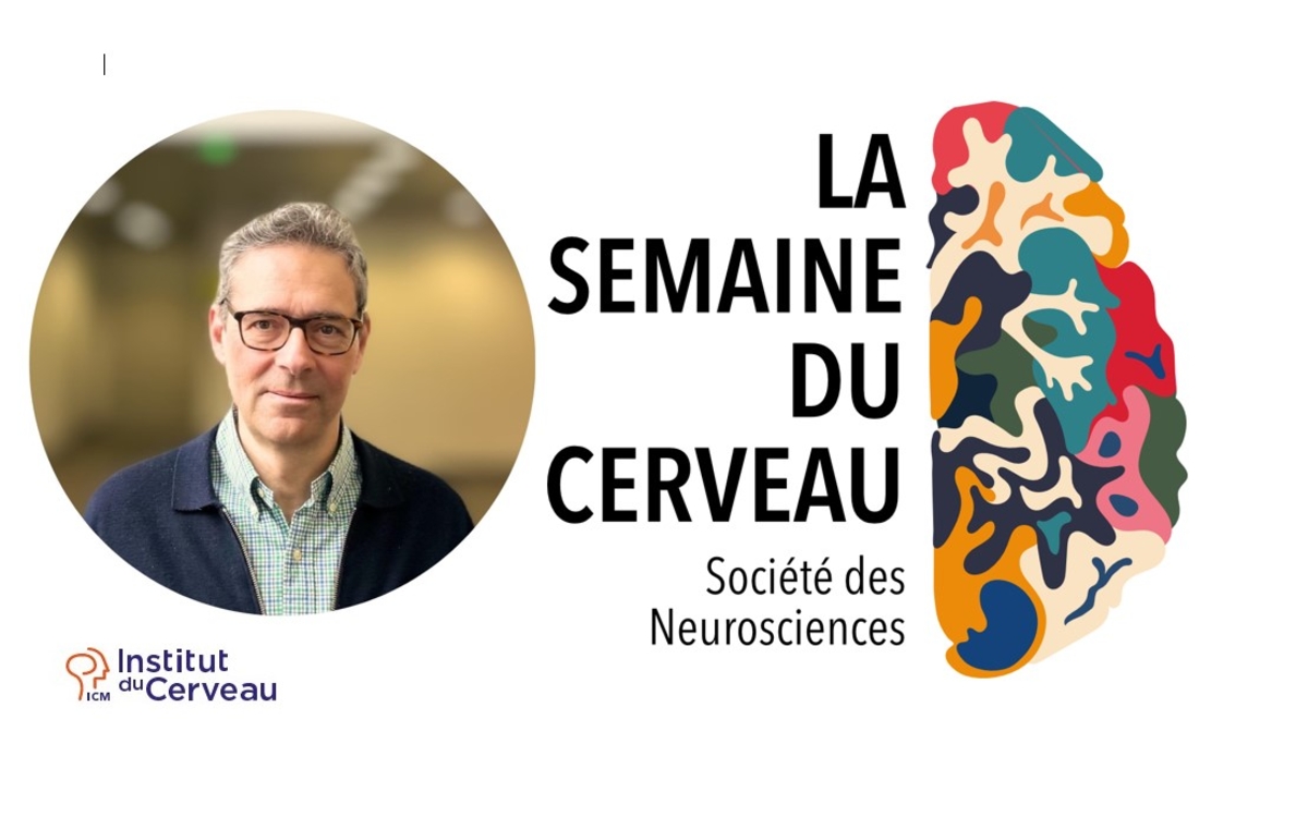Des livres aux synapses : neurosciences de la lecture Bibliothèque Italie Paris