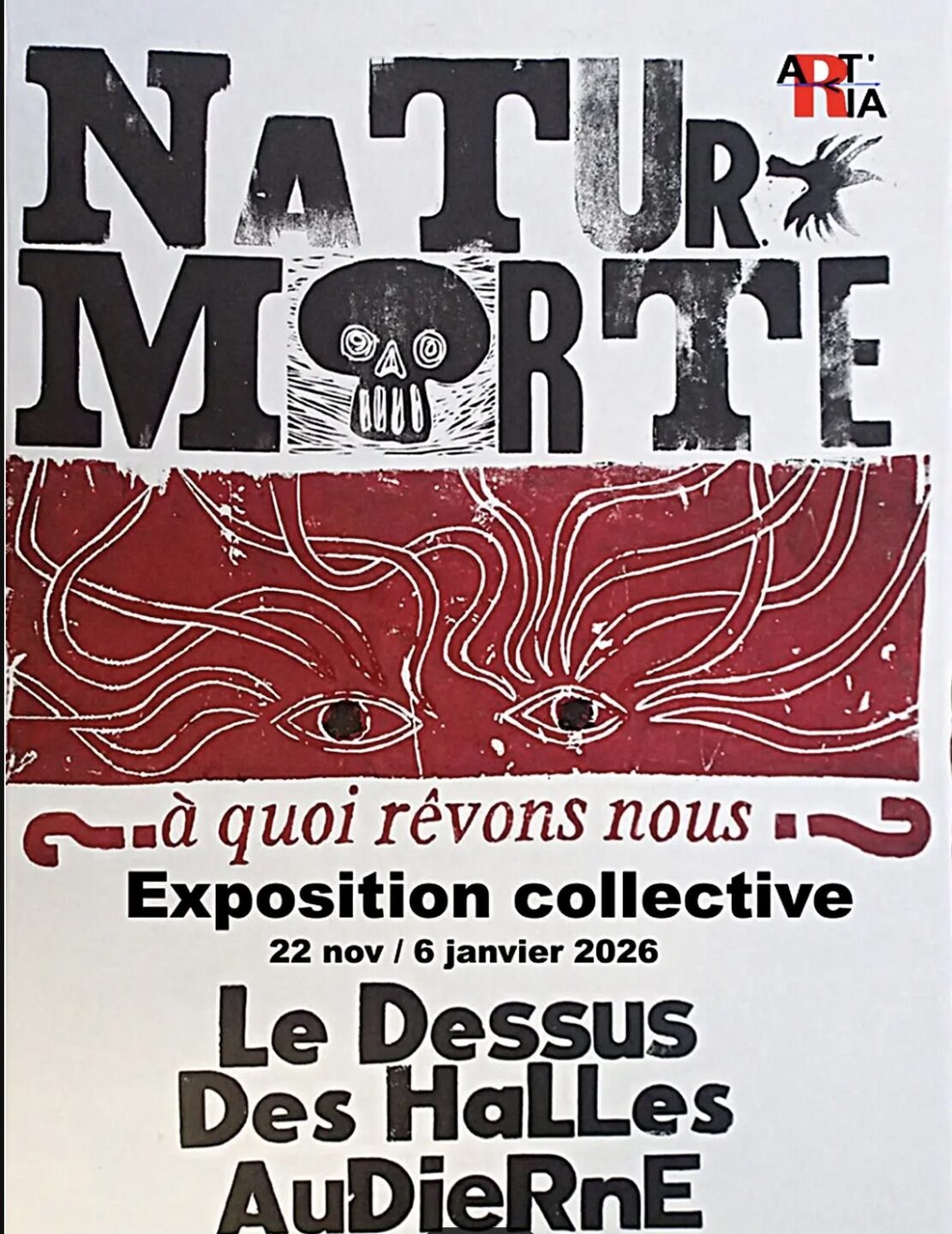 Audierne Dessus des Halles