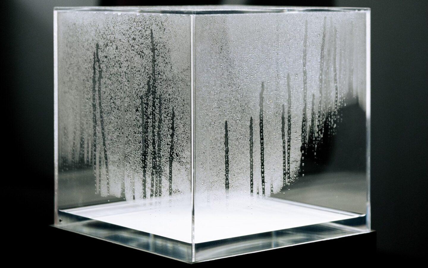 Echo Delay Reverb Art américain, pensées francophones