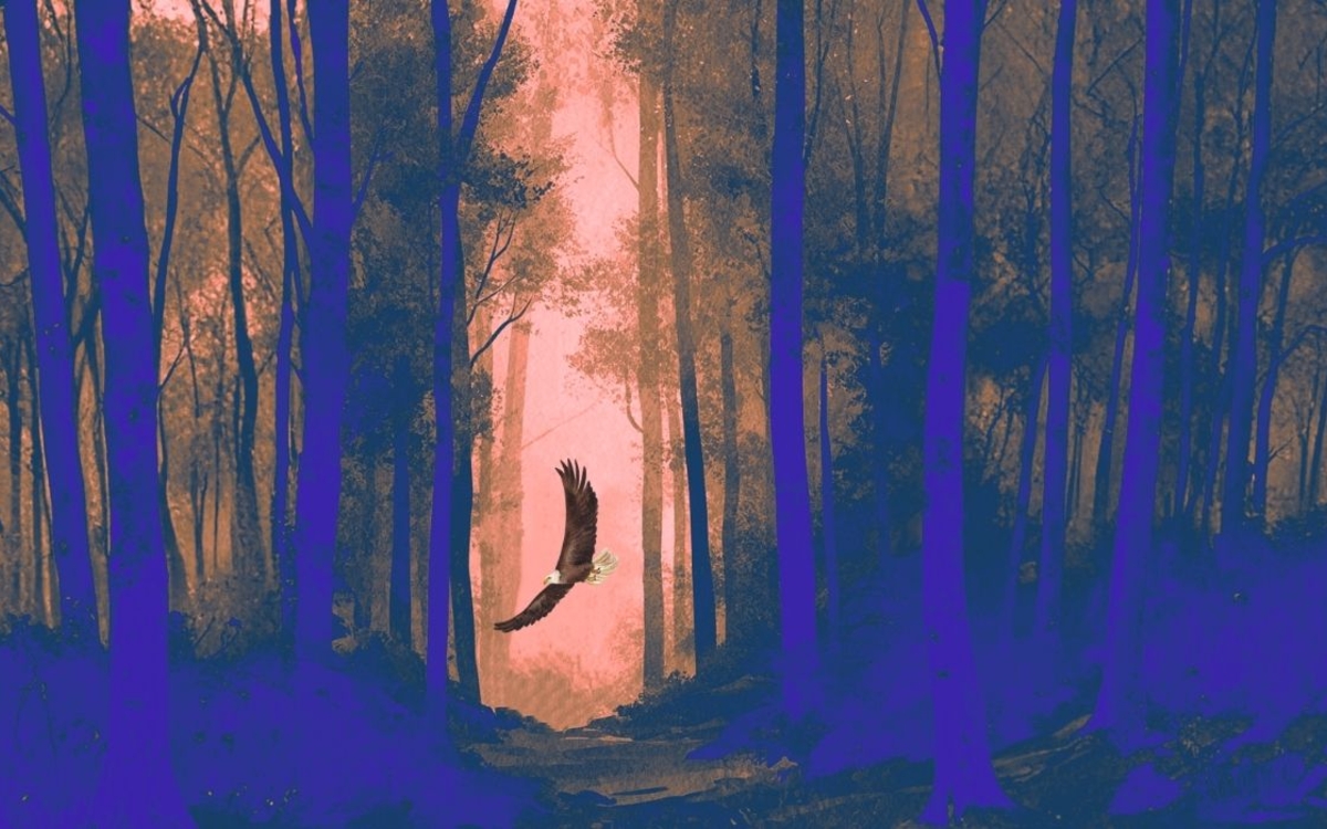 Ec(h)o - imaginarium & musique Auberge de jeunesse Yves Robert