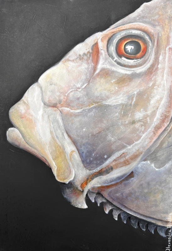 Exposition à la Maison de Loire Harmonie sauvage