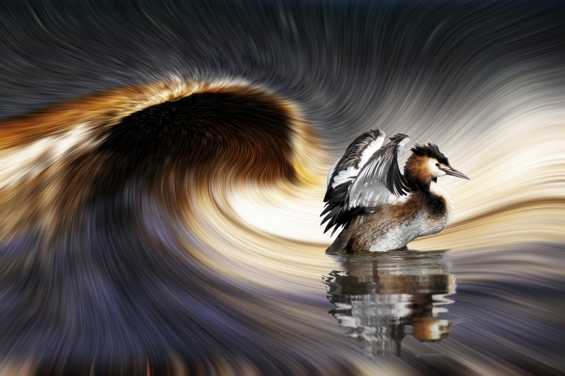 Exposition artistique à la Maison de Loire Tourbillons La Chanterie Jargeau 2026-05-09 Exposition artistique à la Maison de Loire Tourbillons