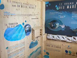 Exposition permanente Les interactions du vivant