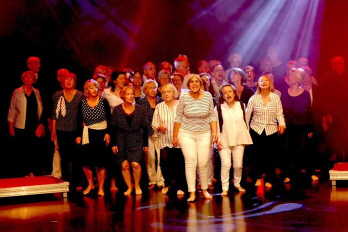 feles vocal feles vocal