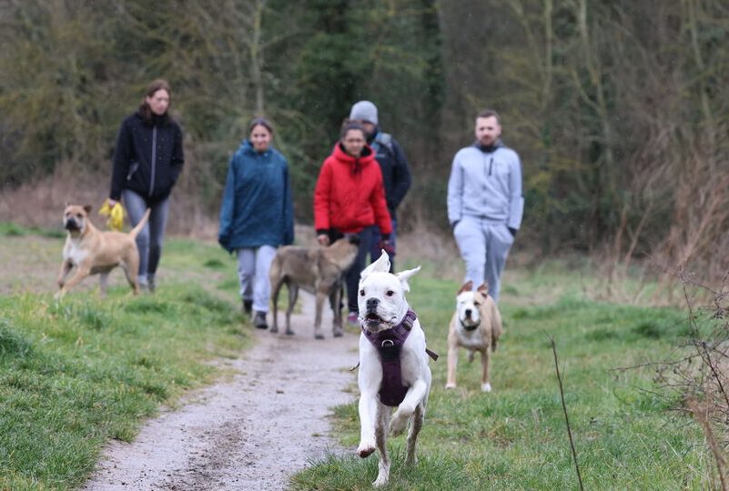 Gwendal Quénéhervé