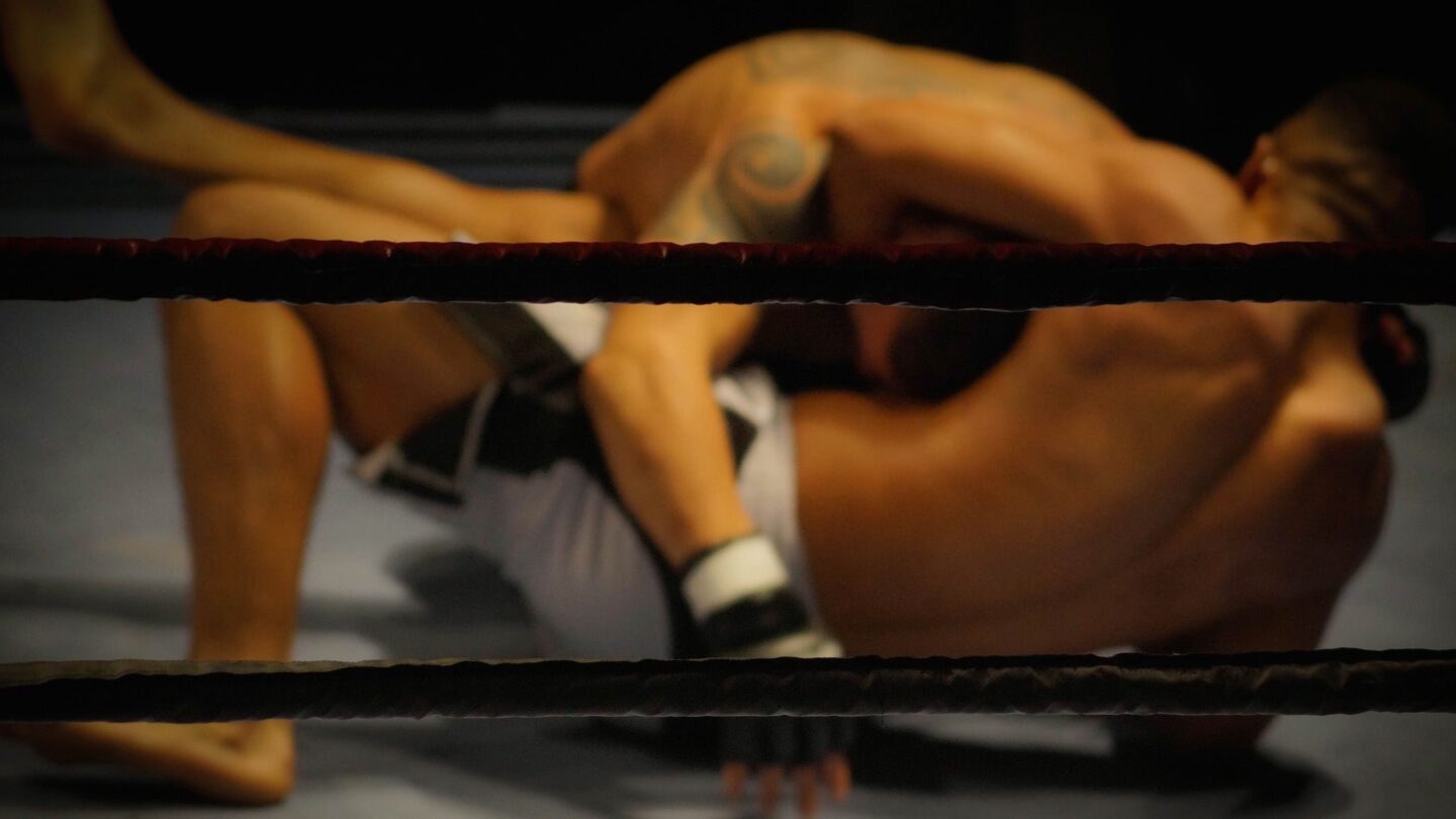 HEXAGONE MMA SERIES POITIERS Chasseneuil Du Poitou