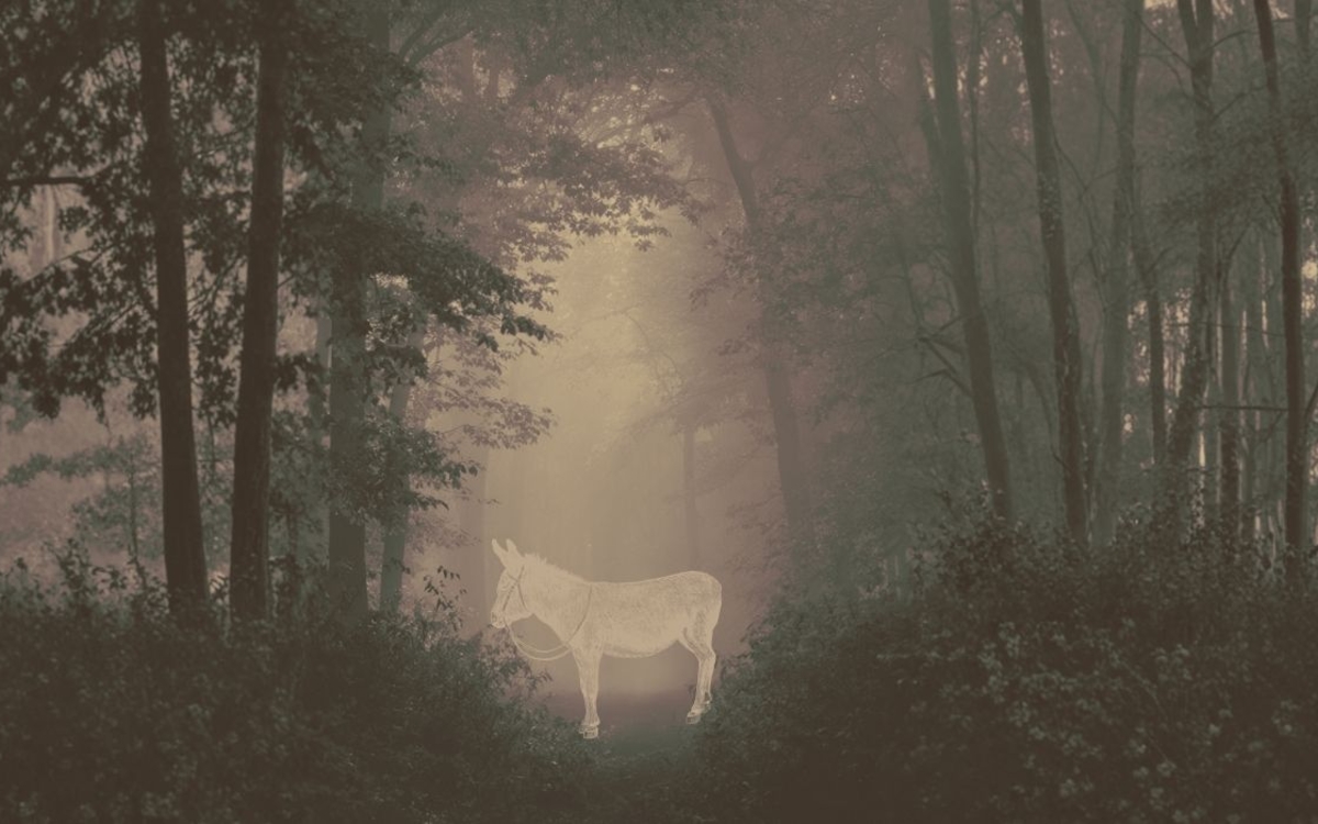 Histoires Auberge de jeunesse Yves Robert