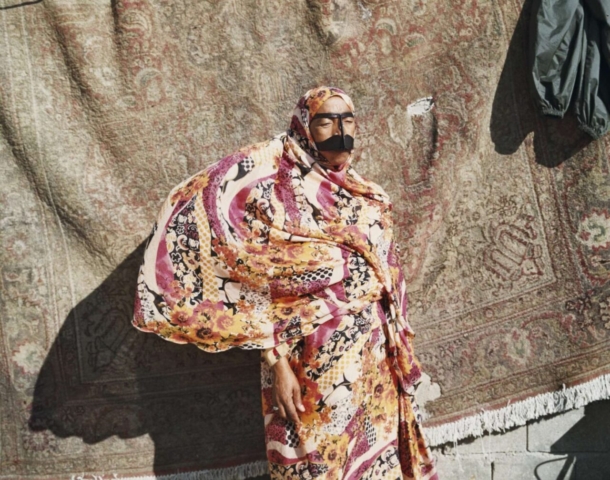 hoda-afshar-1 hoda afshar