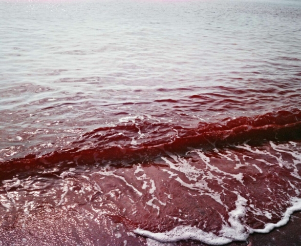 hoda-afshar-10 hoda afshar