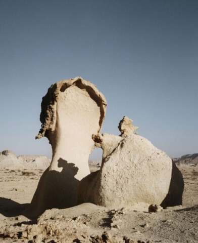 hoda-afshar-4 hoda afshar