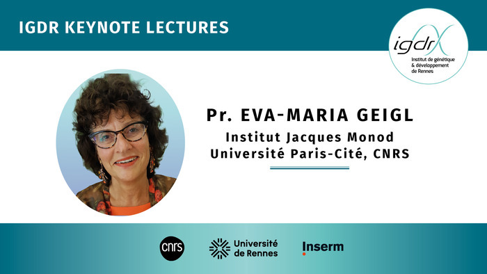 IGDR Keynote Lectures - Pr. Eva-Maria Geigl
