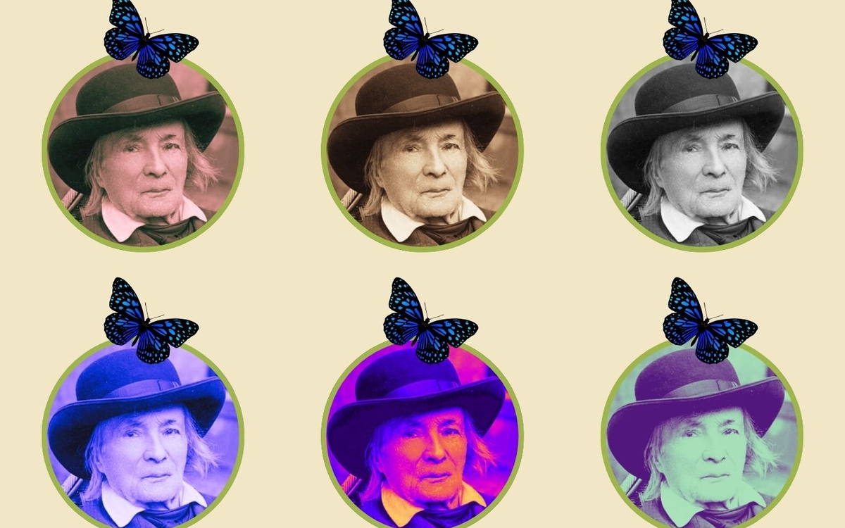 Jean-Henri Fabre à la bibliothèque Malraux