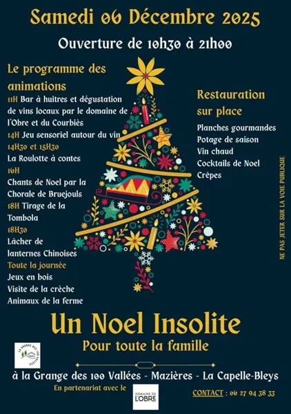 journée d'animations Un Noël insolite pour toute la famille