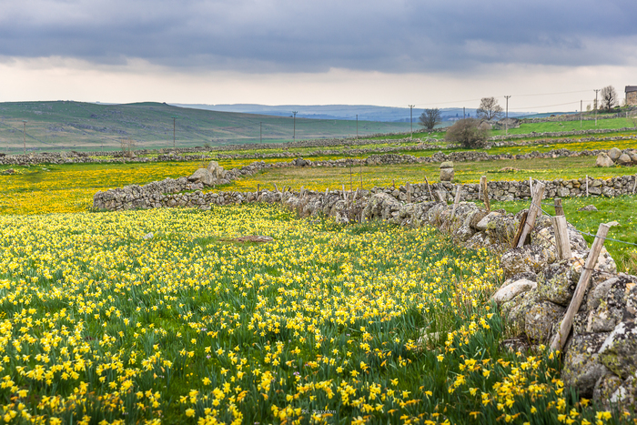Journées Portes Ouvertes SADEV Groupe IFF Peyre en Aubrac