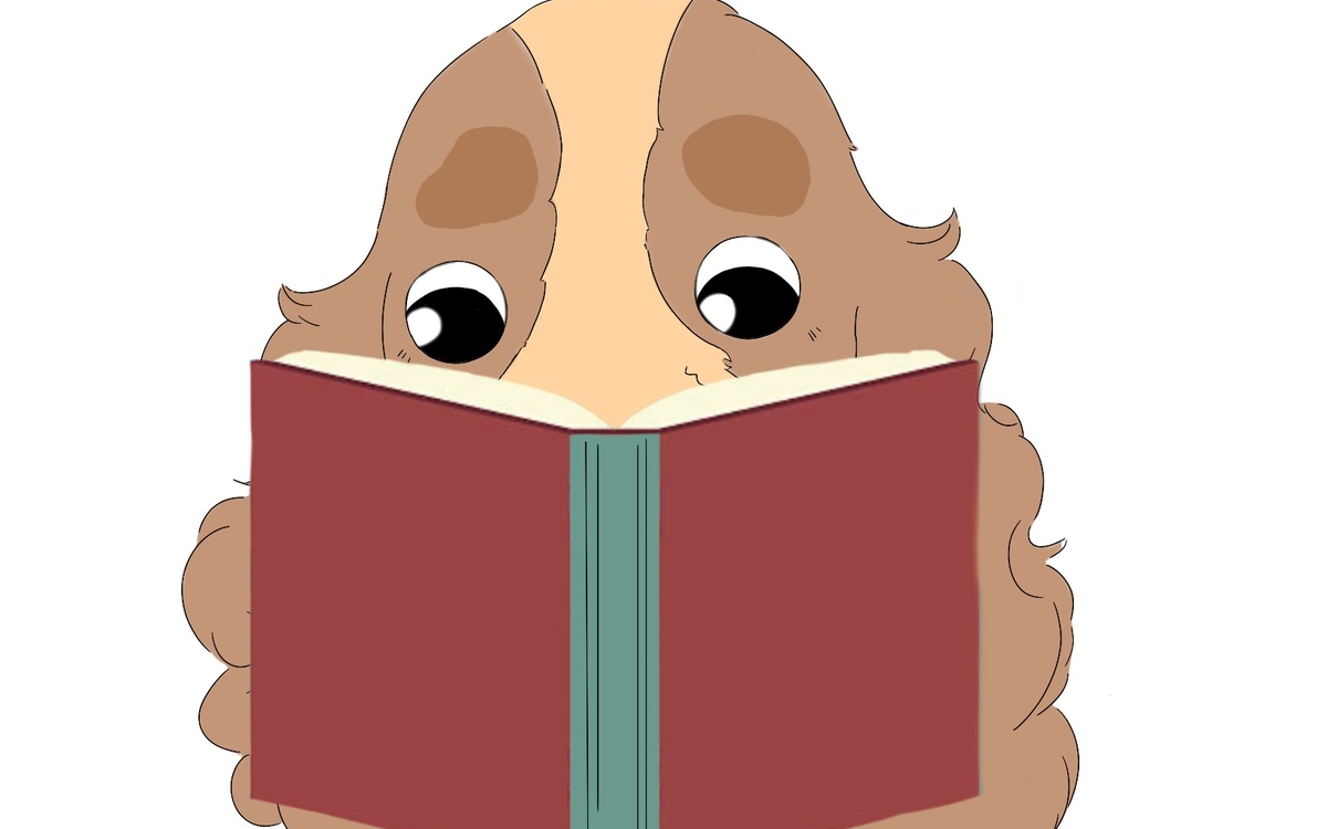 La cabane des grandes histoires Médiathèque Virginia Woolf Paris