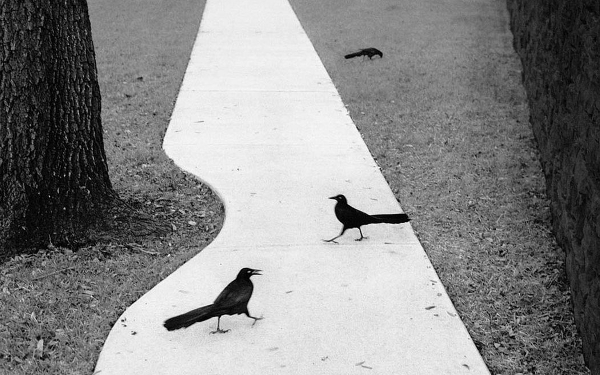 L'approche du monde critique Lavoir Moderne Parisien Paris