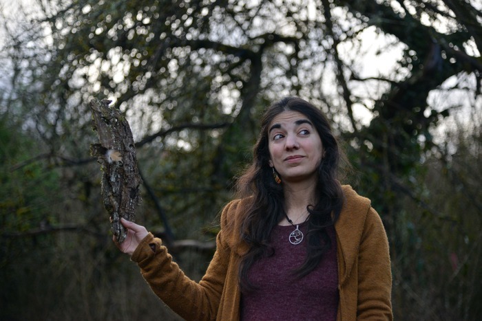 "Le bois perdu" Site départemental de la maison natale de Jeanne d'Arc Domrémy-la-Pucelle