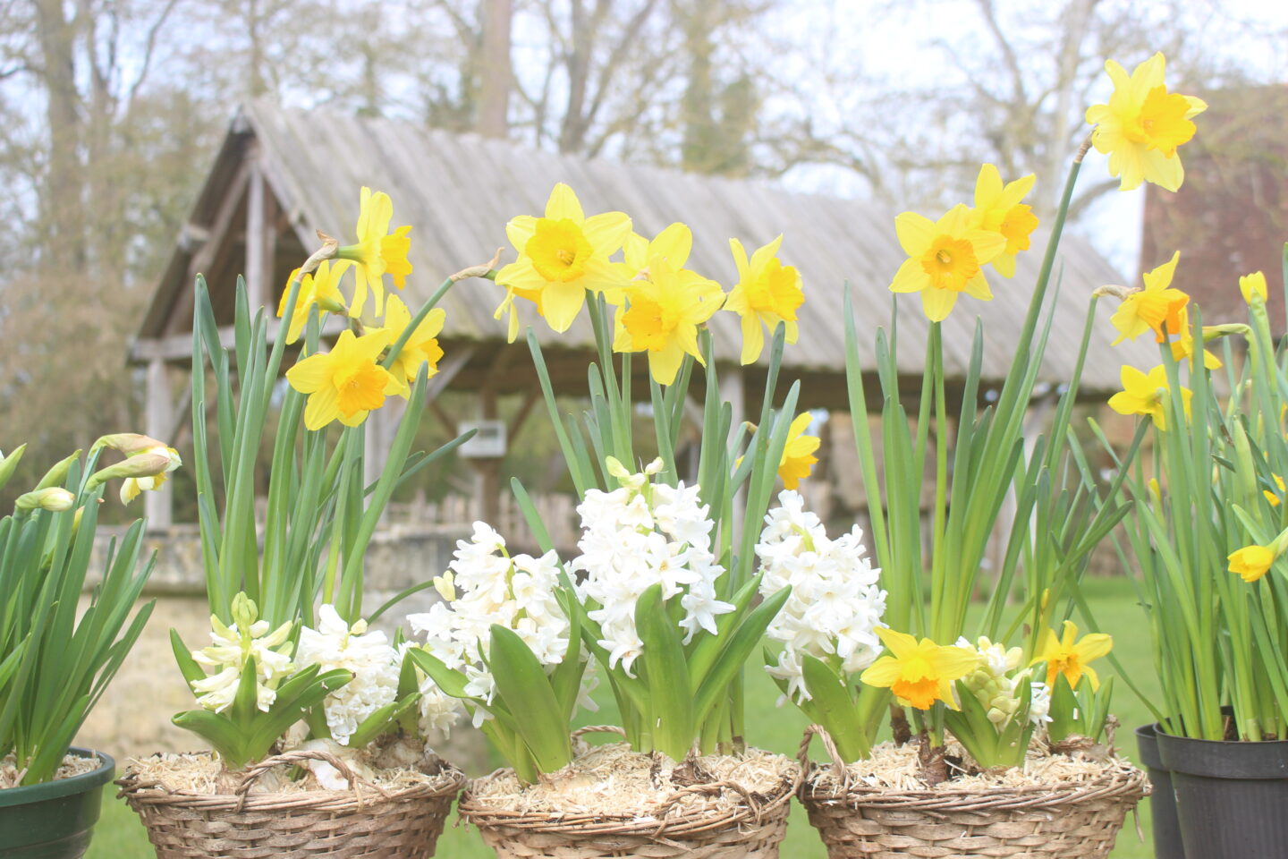 Le Jardin s’invite au Château CREVECOEUR EN AUGE Mézidon Vallée d’Auge 2026-03-21 Le Jardin s'invite au Château