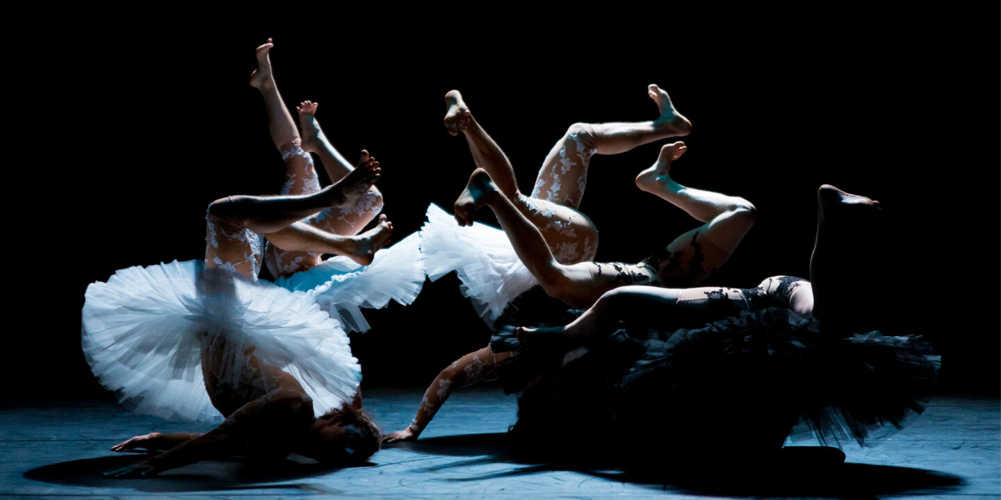 LE LAC DES CYGNES Florence Caillon Compagnie L’Eolienne
