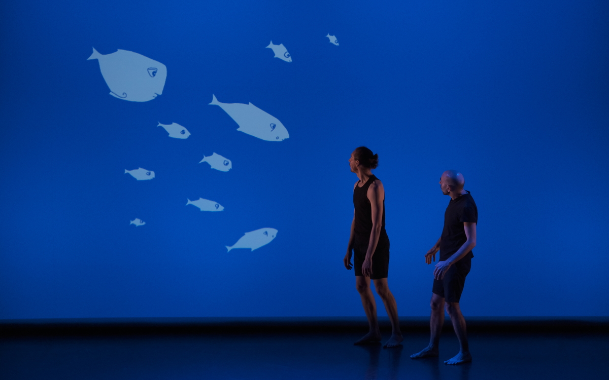 LE POISSON QUI VIVAIT DANS LES ARBRES… Théâtre de la Ville – Sarah Bernhardt Paris