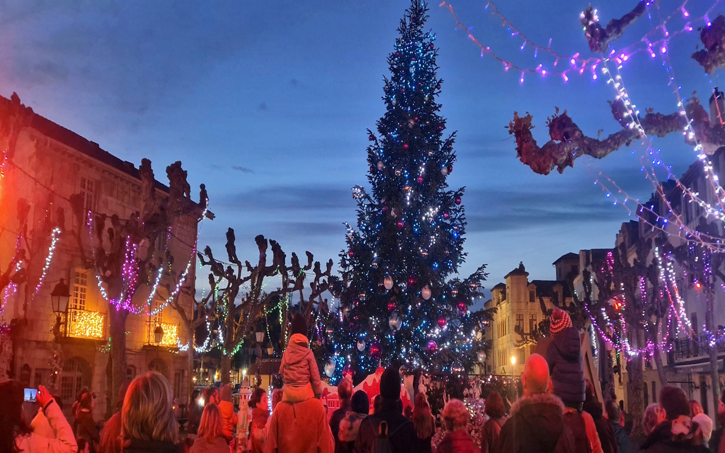Le sapin féérique Abracadabouille !