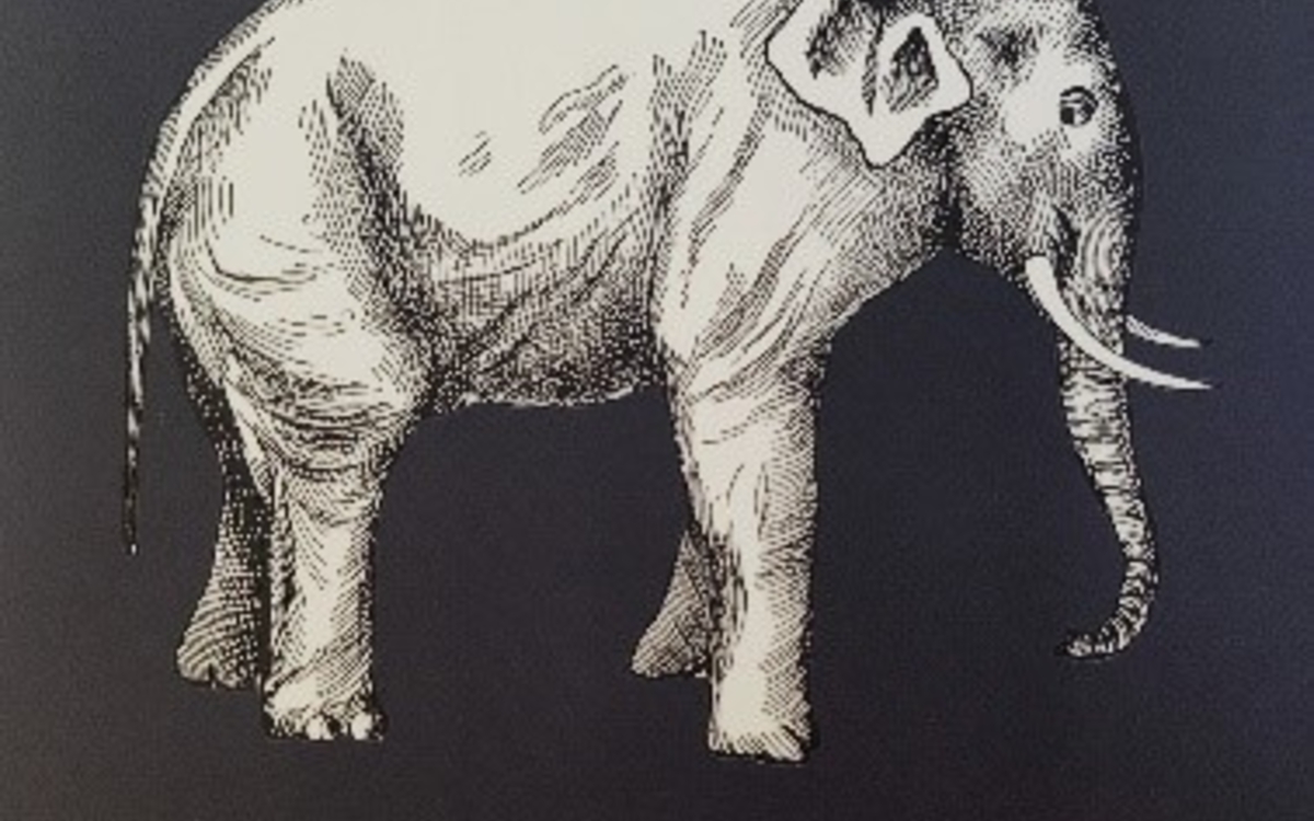 Lecture jeunesse bilingues en français et en bambara Bibliothèque Goutte d'Or Paris