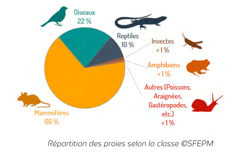 Les chats - Répartition des proies selon la classe (SFEPM)