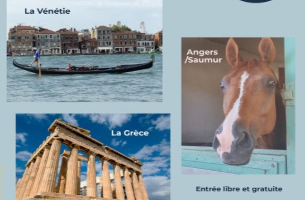 Les jeudis de la médiathèque