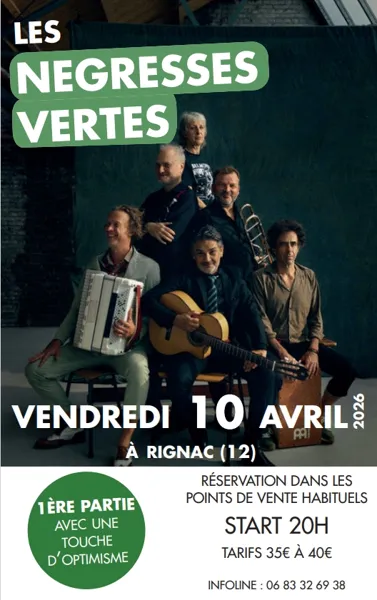 Les négresses vertes en concert