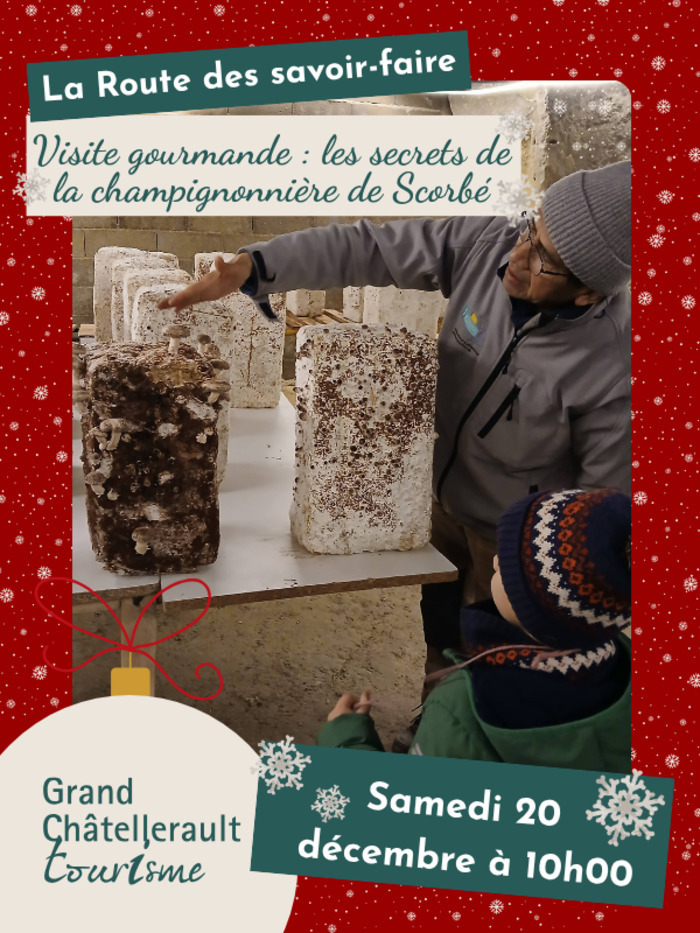 Les secrets de la champignonnière de Scorbé