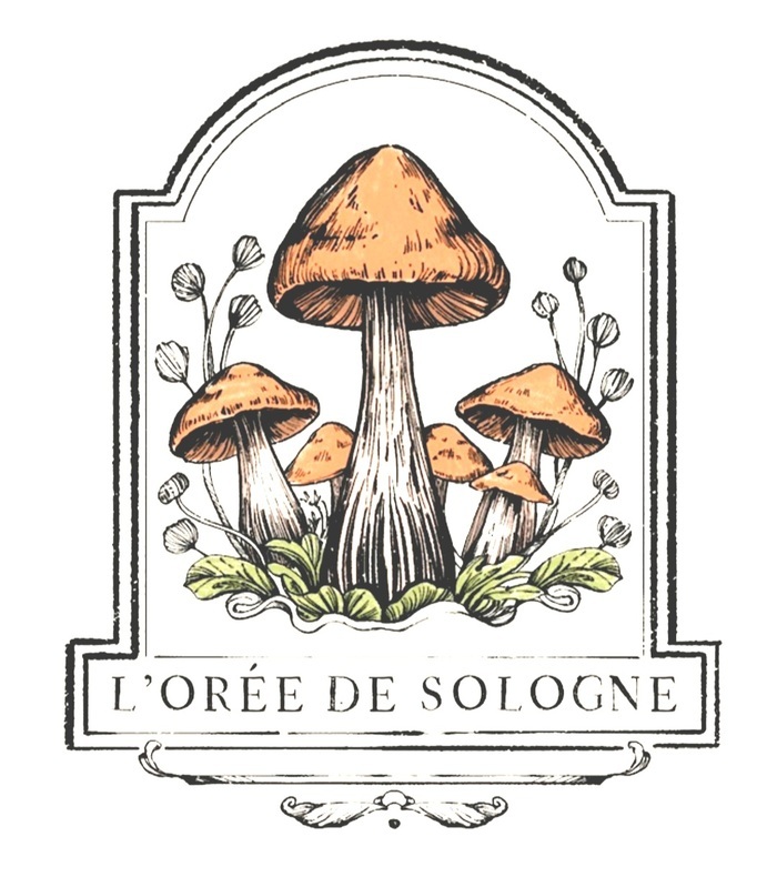 L'orée de Sologne 19 chemin des grivelles Lailly-en-Val