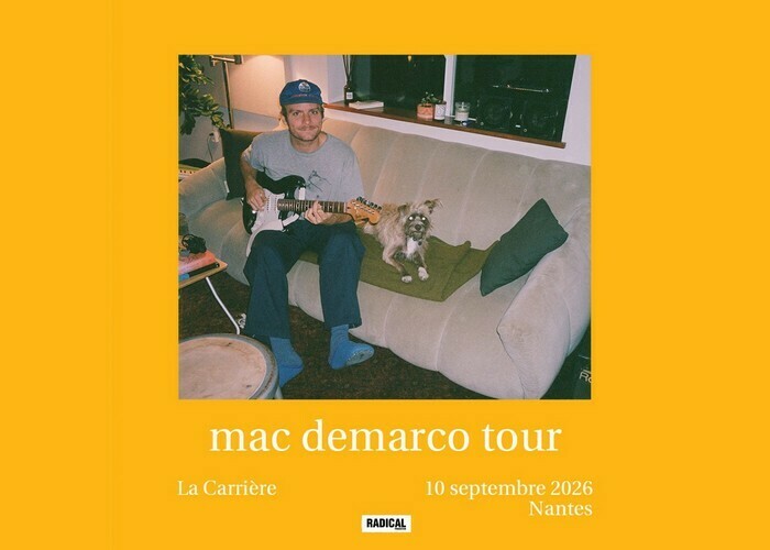 Mac DeMarco Carrière (La)