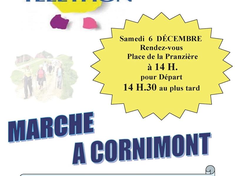 Marche au profit du téléthon 2025