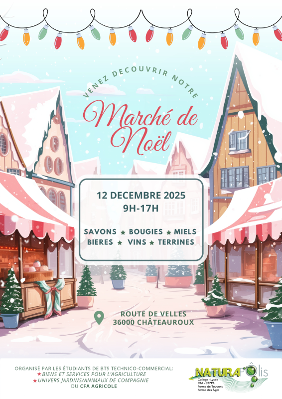 Marché de Noël