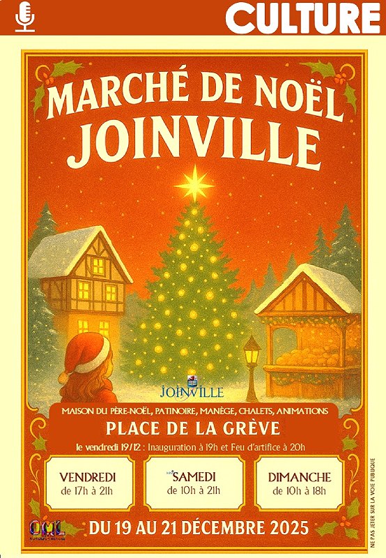 MARCHÉ DE NOEL JOINVILLE