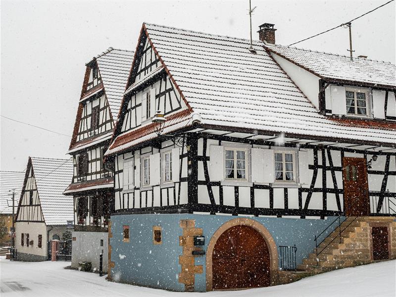 Marche vers le nouvel an