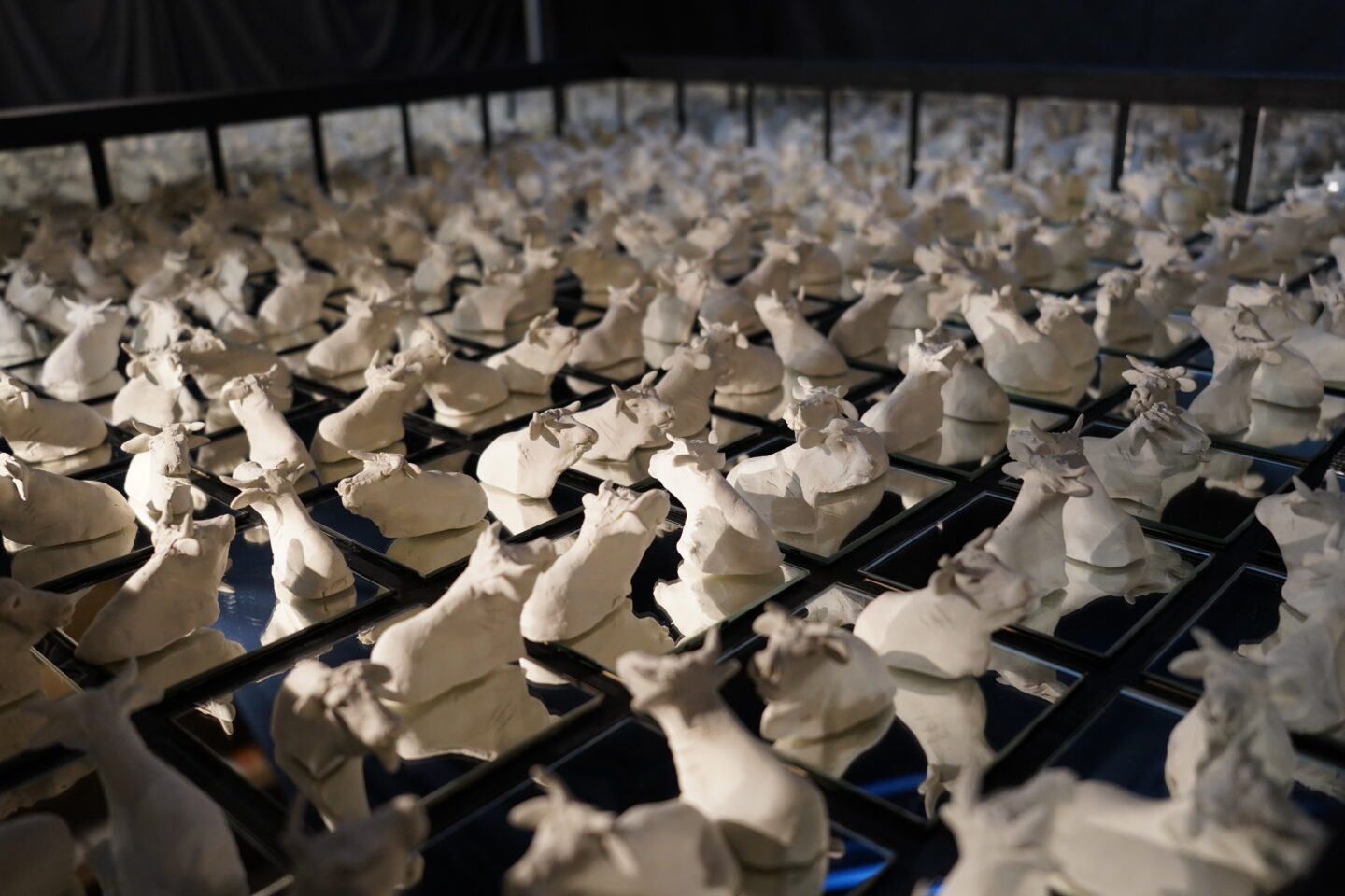 Marguerite les petites vaches de Belin