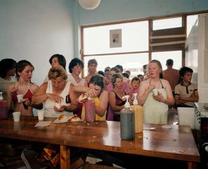 martin parr